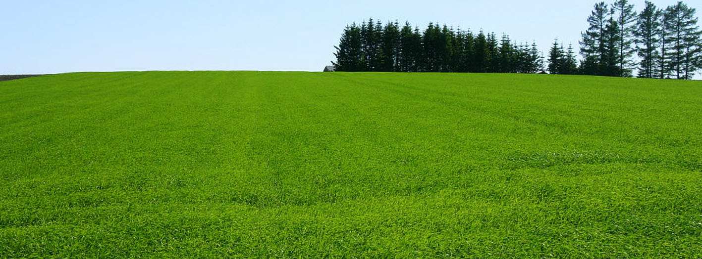 リハビリデイサービスてとて